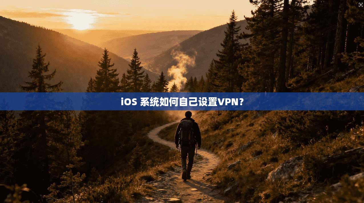 iOS 系统如何自己设置VPN? 第1张 iOS 系统如何自己设置VPN? 第1张