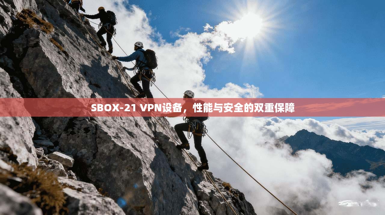 SBOX-21 VPN设备,性能与安全的双重保障