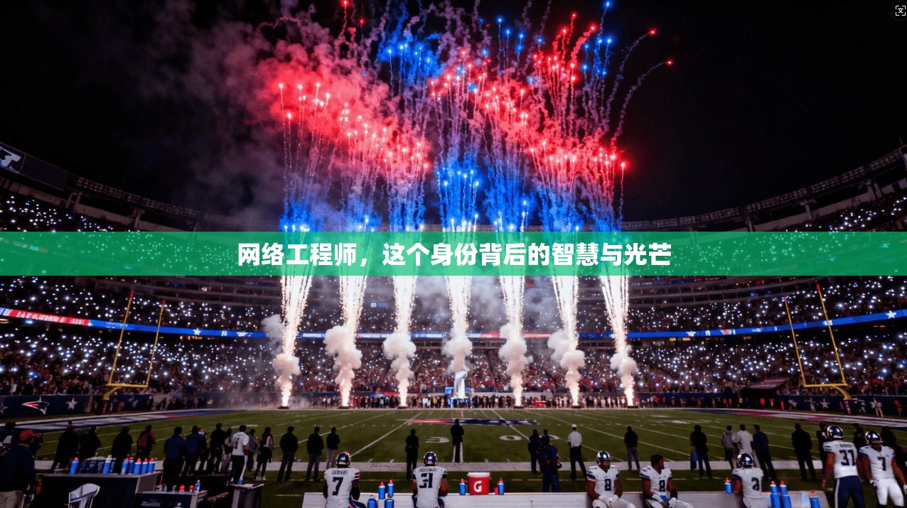 网络工程师,这个身份背后的智慧与光芒