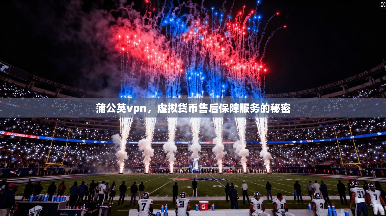 蒲公英vpn,虚拟货币售后保障服务的秘密