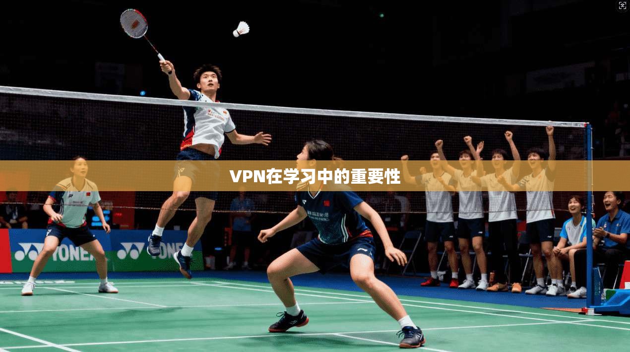 VPN在学习中的重要性
