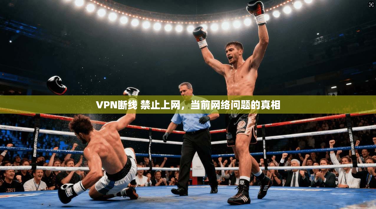 VPN断线 禁止上网,当前网络问题的真相