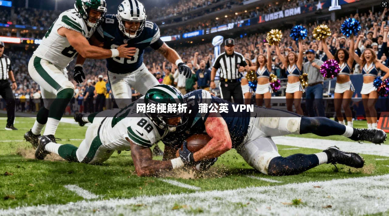 网络梗解析，蒲公英 VPN
