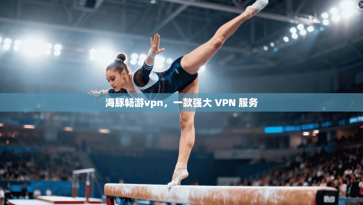 海豚畅游vpn，一款强大 VPN 服务