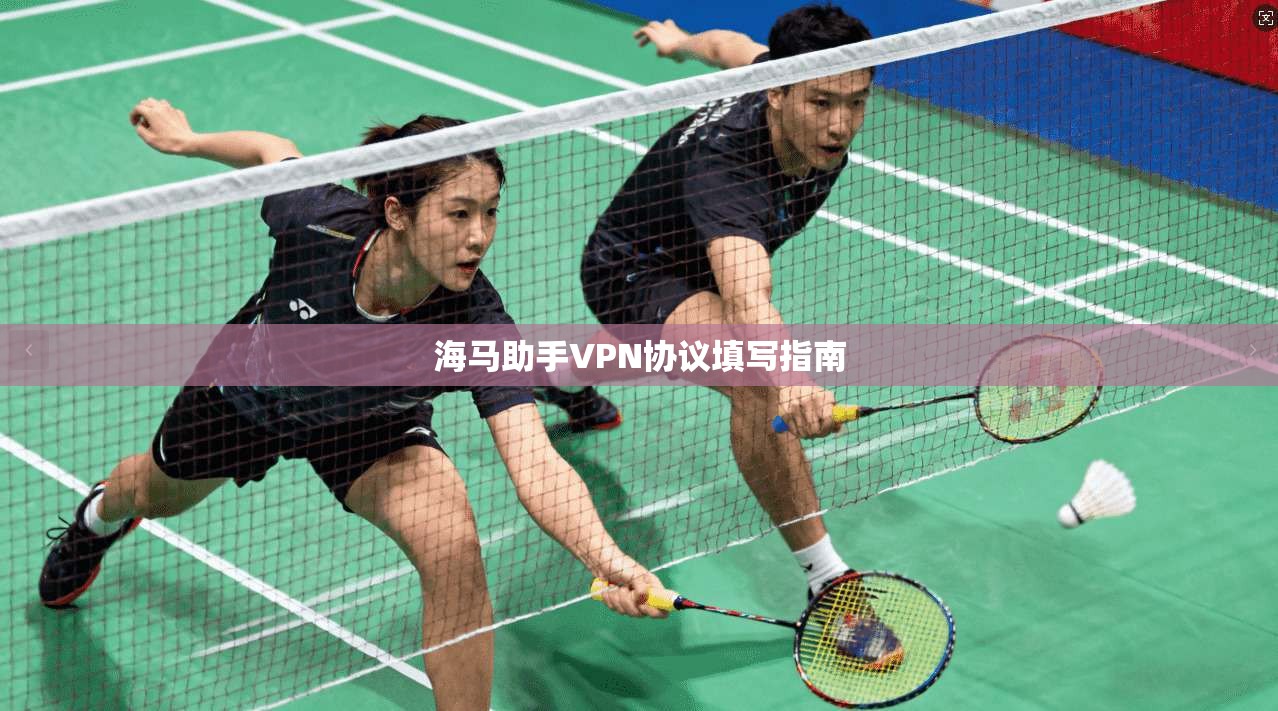 海马助手VPN协议填写指南