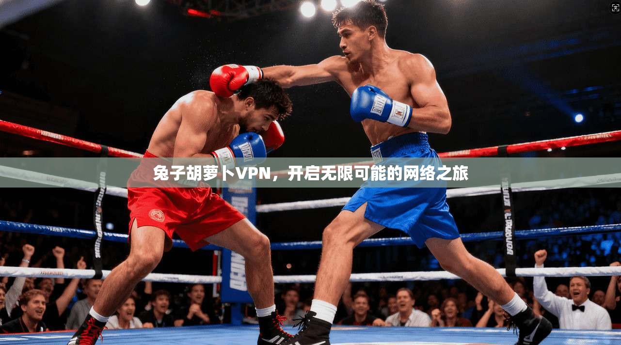 兔子胡萝卜VPN,开启无限可能的网络之旅