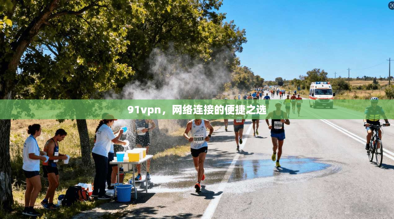 91vpn，网络连接的便捷之选