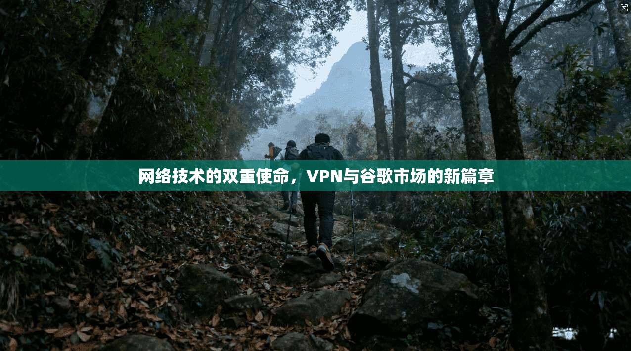 网络技术的双重使命,VPN与谷歌市场的新篇章