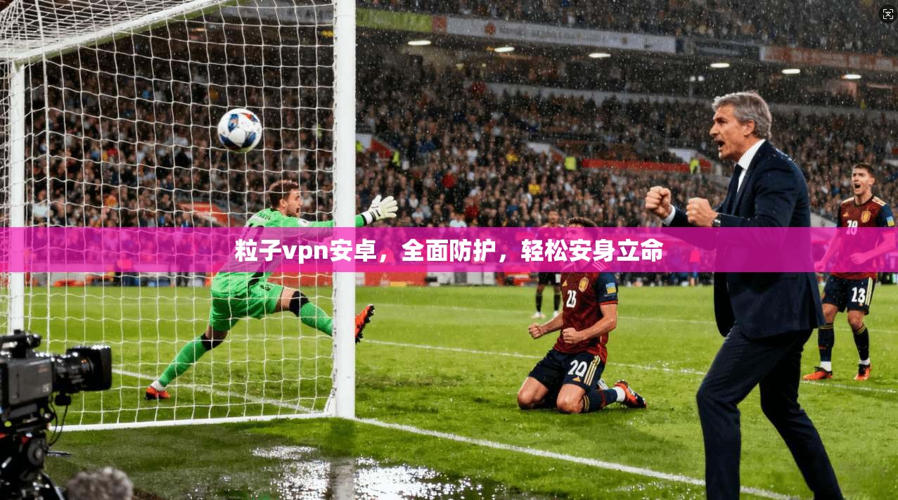 粒子vpn安卓,全面防护,轻松安身立命