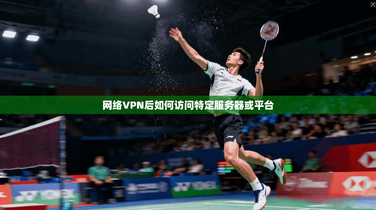 网络VPN后如何访问特定服务器或平台