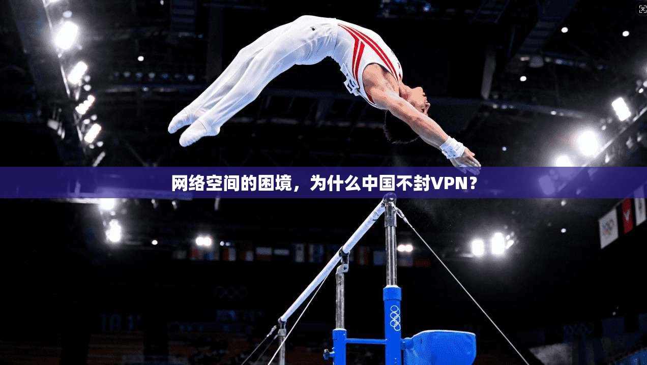 网络空间的困境,为什么中国不封VPN?