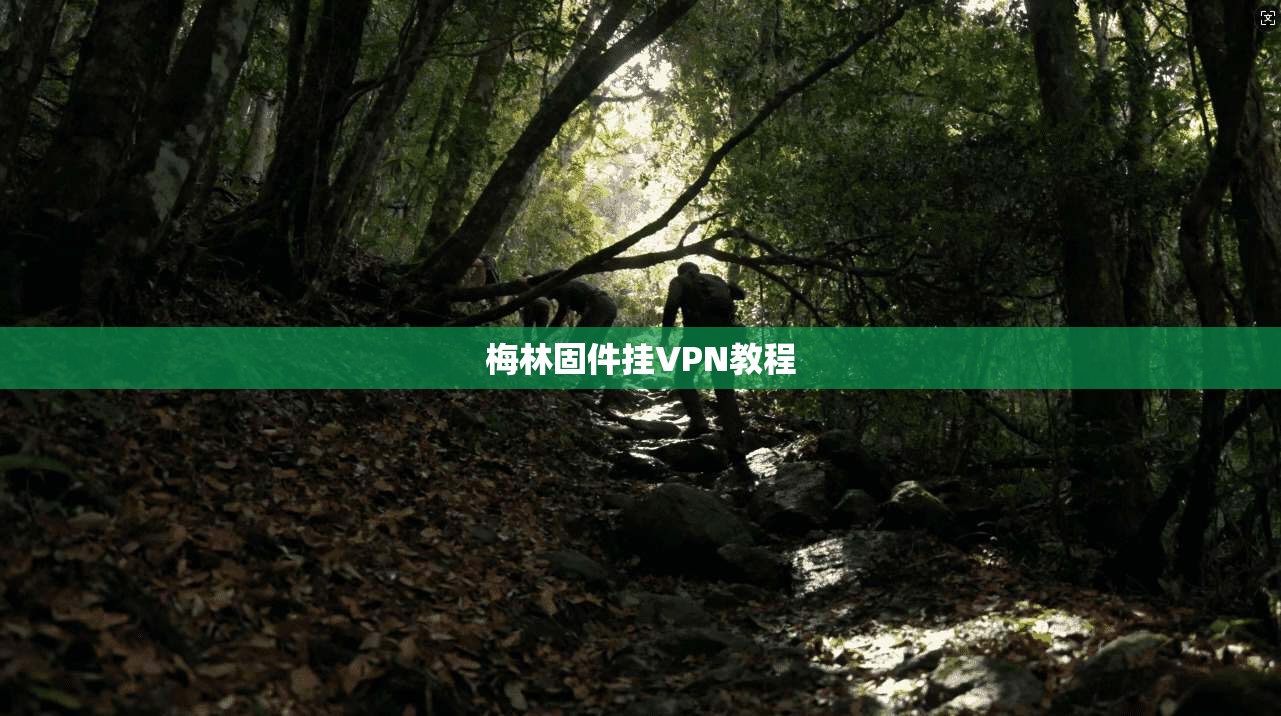 梅林固件挂VPN教程 第1张 梅林固件挂VPN教程 第1张