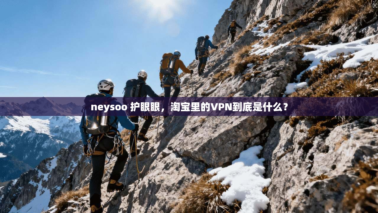 neysoo 护眼眼,淘宝里的VPN到底是什么?