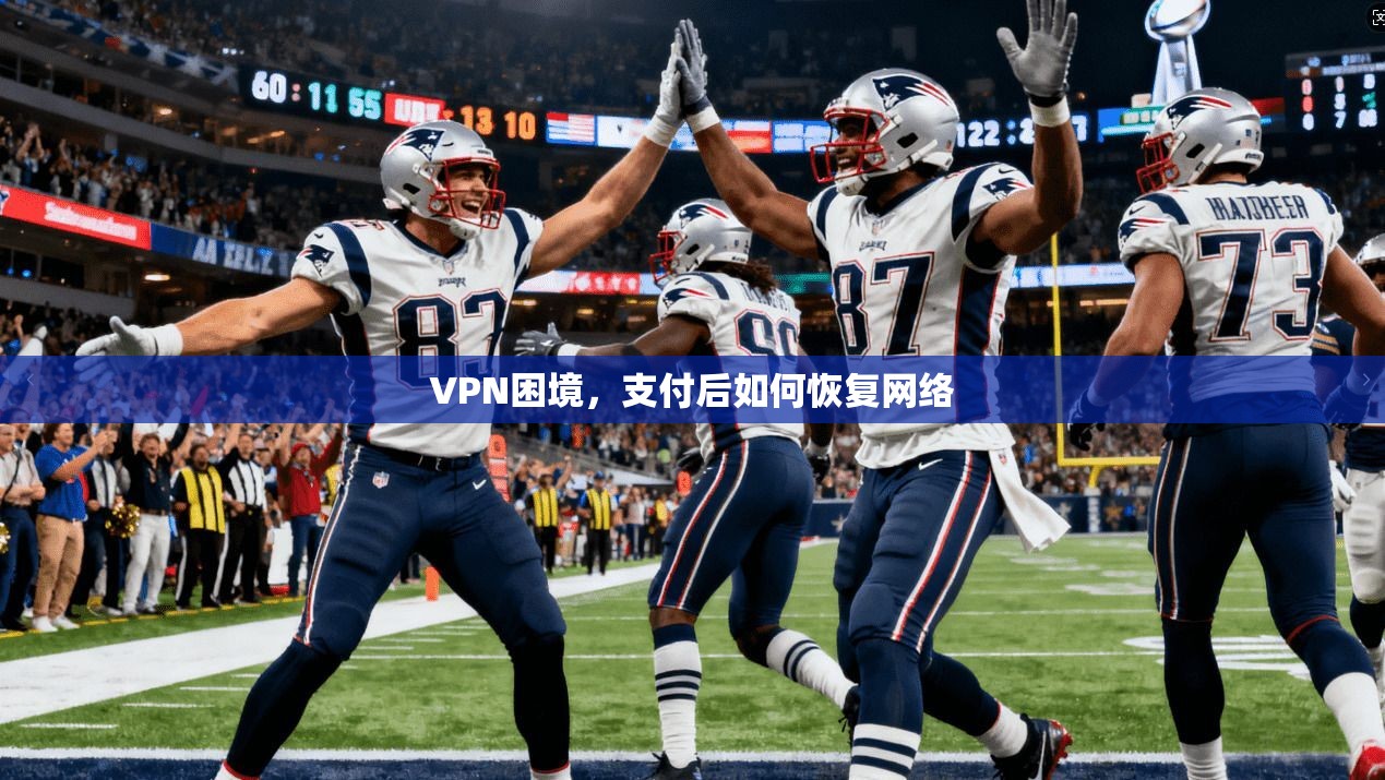 VPN困境,支付后如何恢复网络