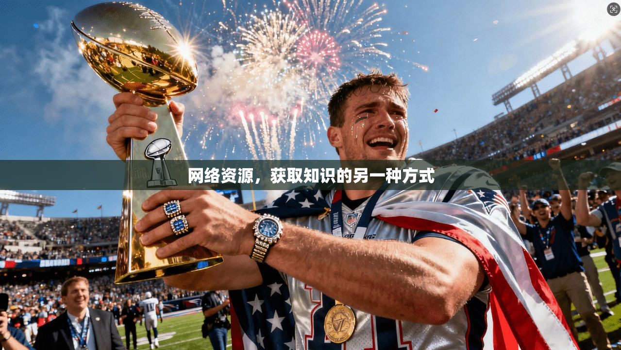 网络资源，获取知识的另一种方式