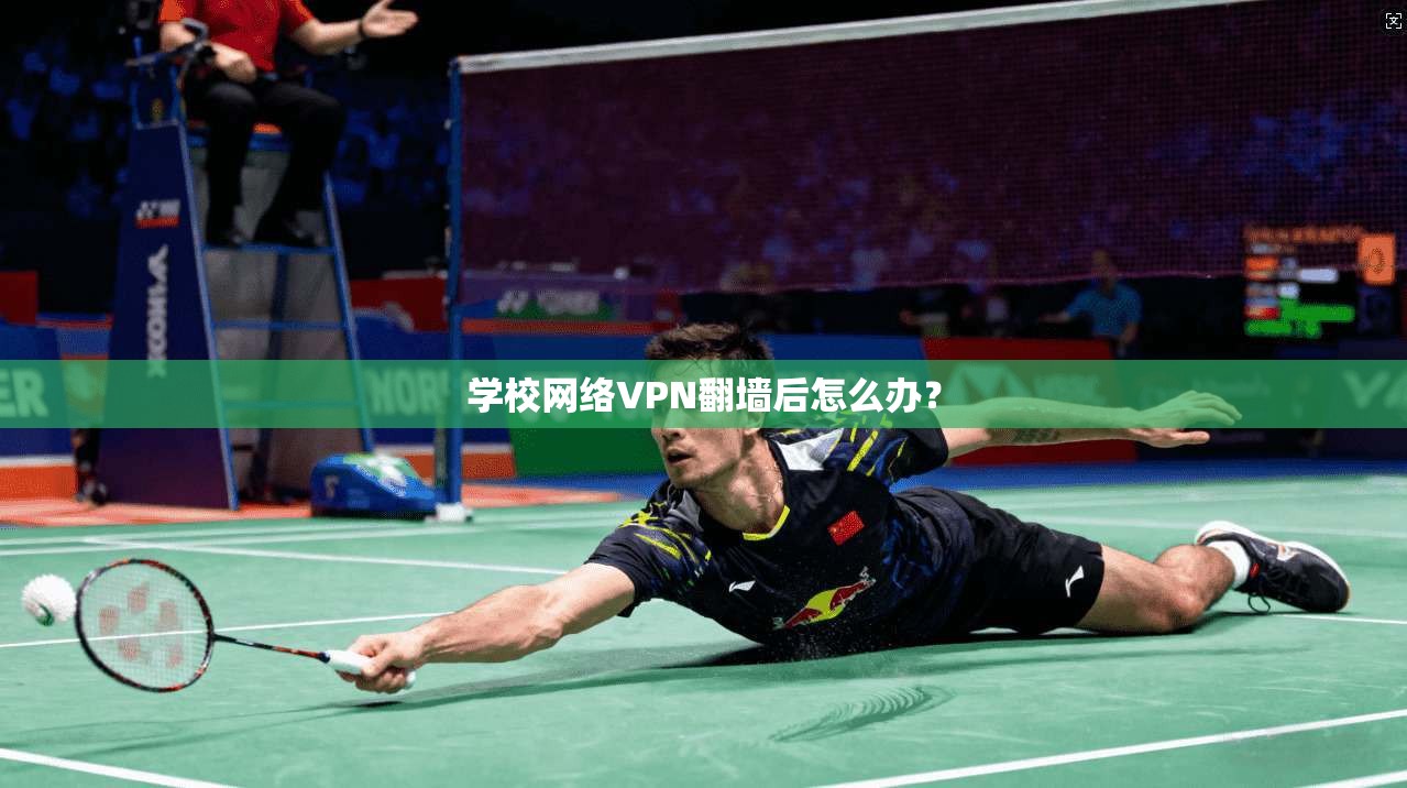 学校网络VPN翻墙后怎么办? 第1张 学校网络VPN翻墙后怎么办? 第1张