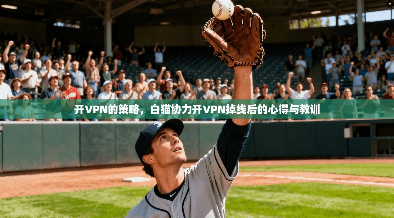 开VPN的策略,白猫协力开VPN掉线后的心得与教训 第1张 开VPN的策略,白猫协力开VPN掉线后的心得与教训 第1张