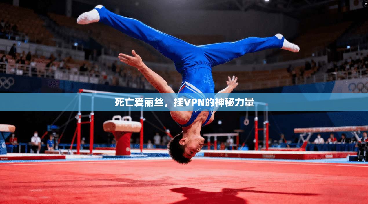死亡爱丽丝，挂VPN的神秘力量  第1张