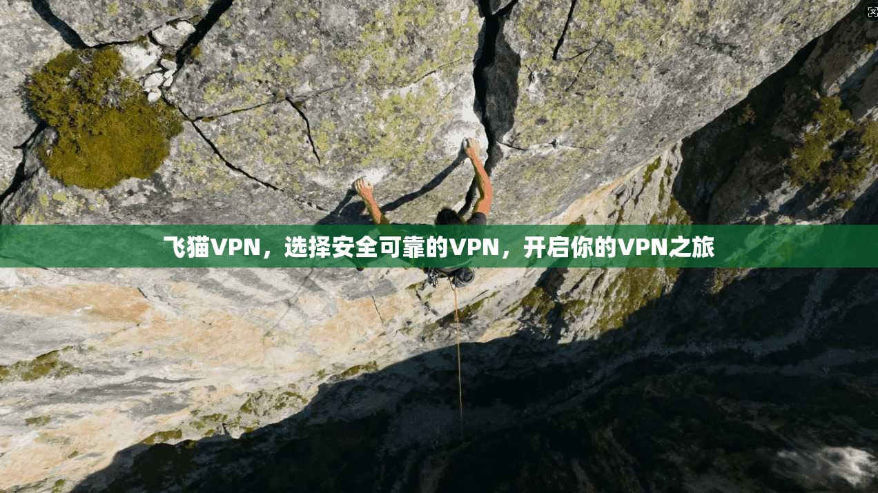 飞猫VPN，选择安全可靠的VPN，开启你的VPN之旅  第1张
