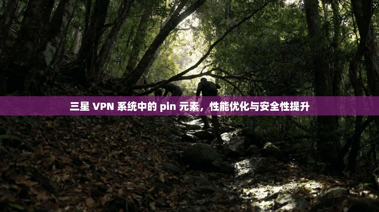 三星 VPN 系统中的 pin 元素，性能优化与安全性提升