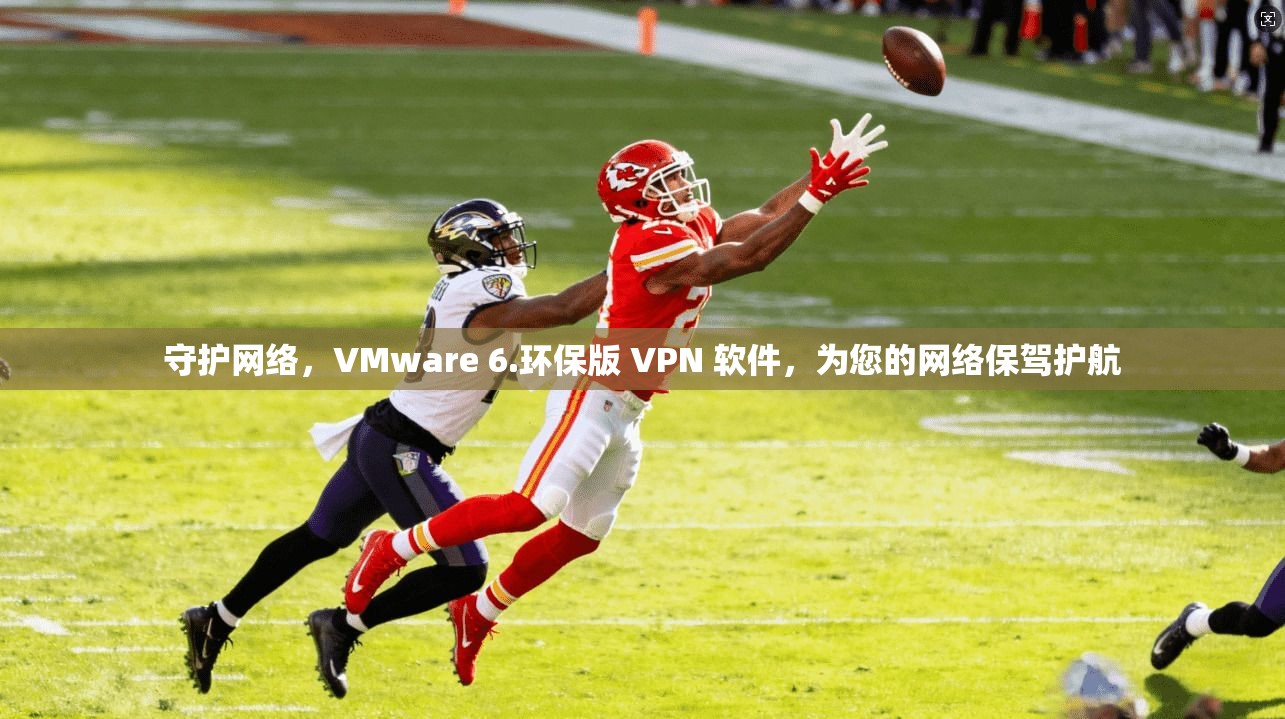 守护网络，VMware 6.环保版 VPN 软件，为您的网络保驾护航