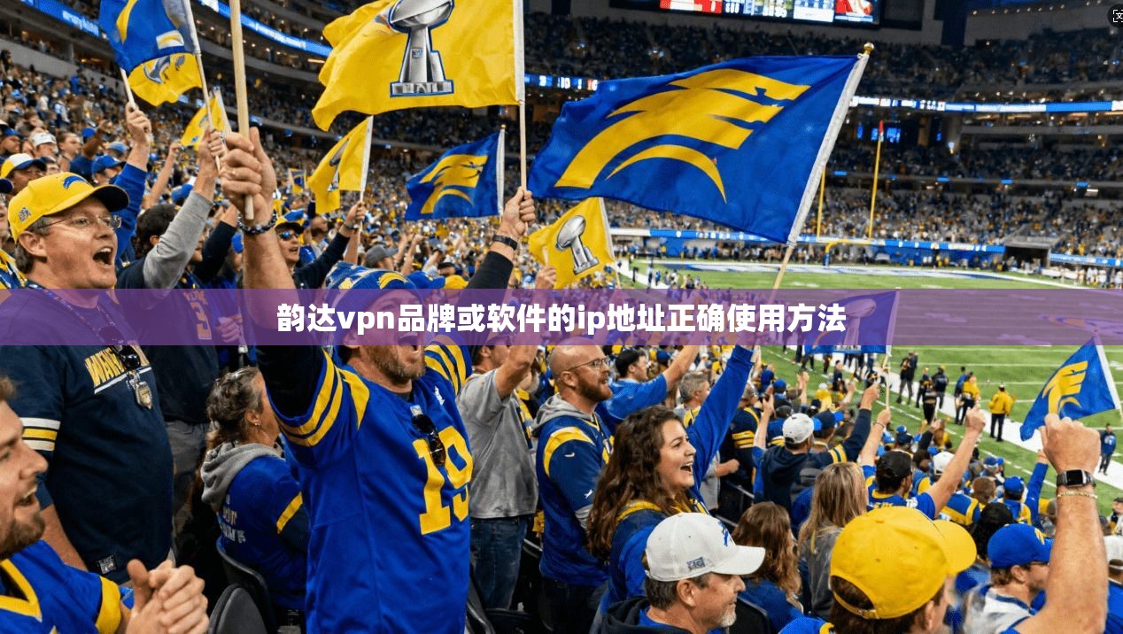 韵达vpn品牌或软件的ip地址正确使用方法