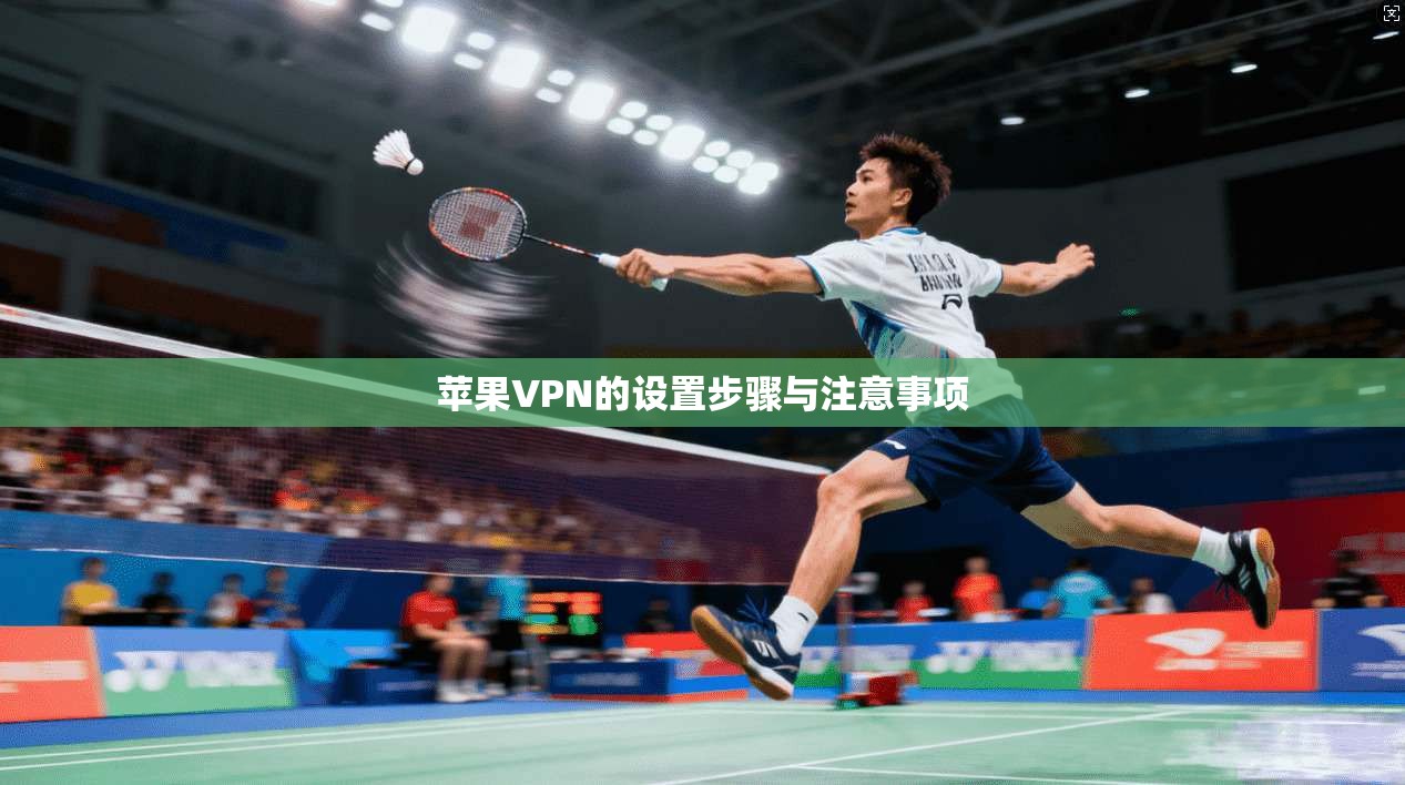 苹果VPN的设置步骤与注意事项