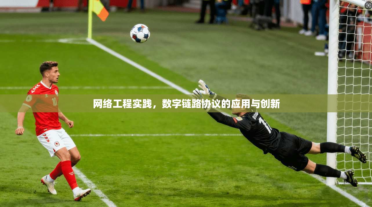 网络工程实践，数字链路协议的应用与创新