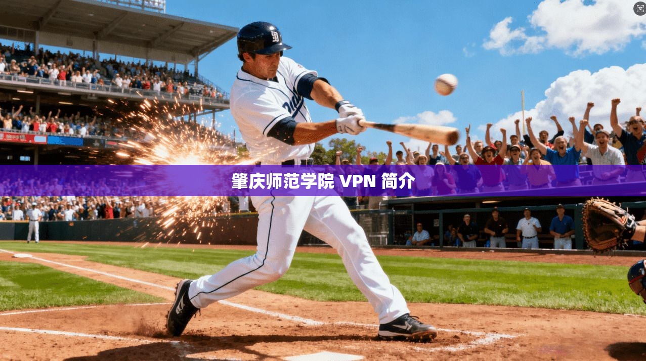 肇庆师范学院 VPN 简介