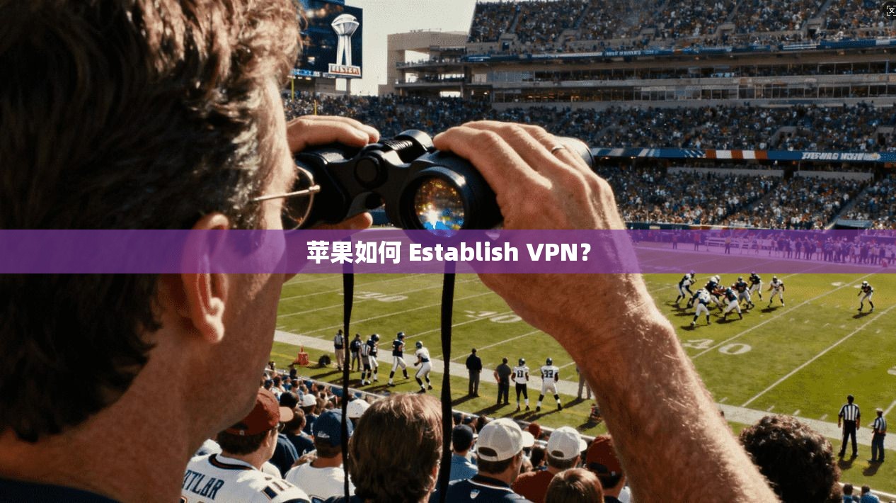 苹果如何 Establish VPN？  第1张