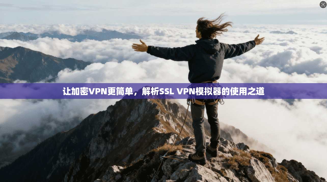 让加密VPN更简单，解析SSL VPN模拟器的使用之道