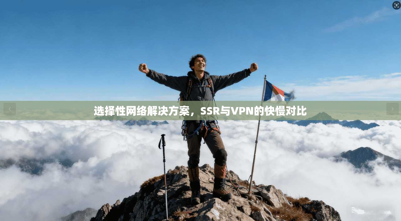 选择性网络解决方案，SSR与VPN的快慢对比