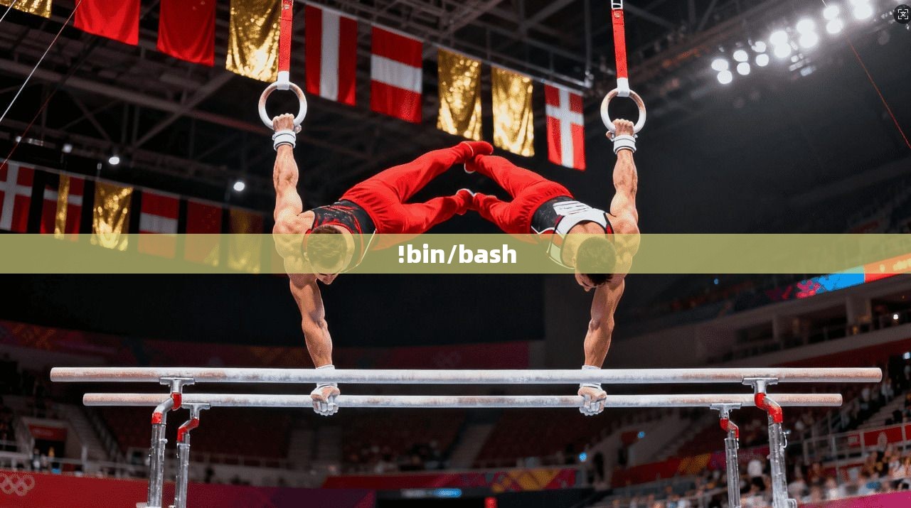 !bin/bash