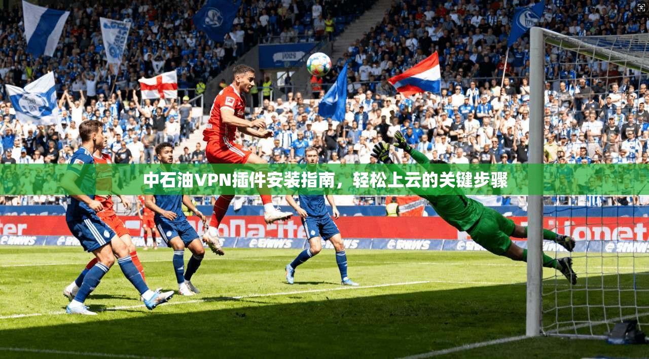 中石油VPN插件安装指南，轻松上云的关键步骤