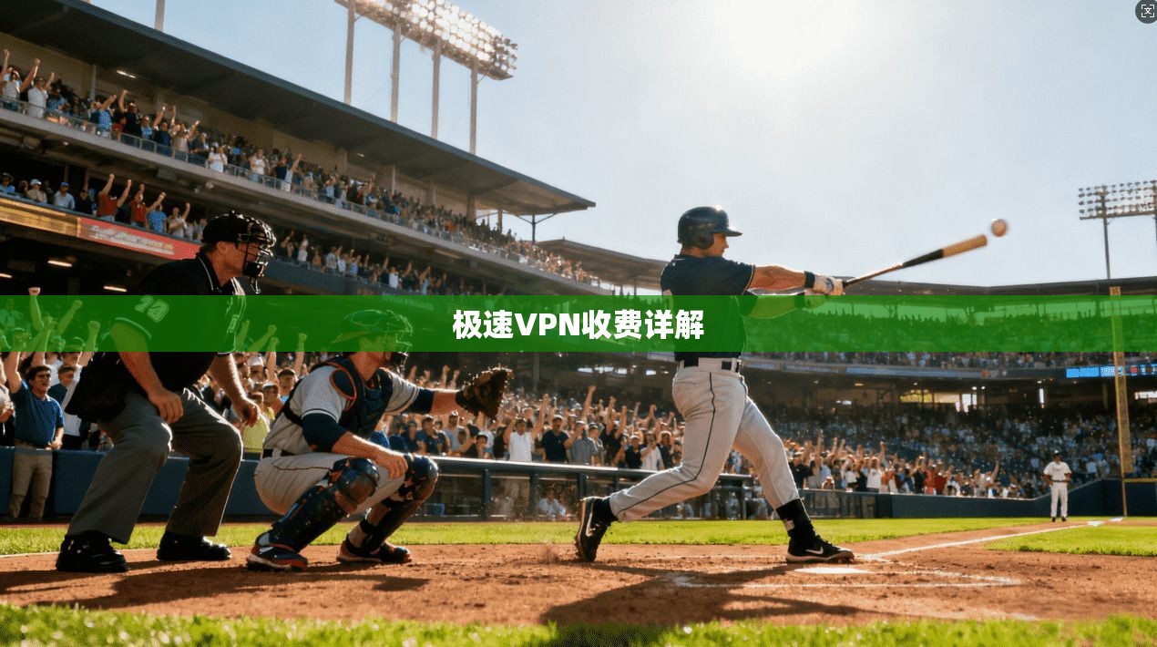 极速VPN收费详解