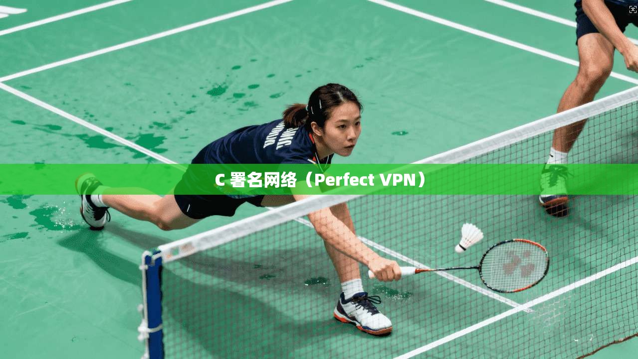 C 署名网络（Perfect VPN）