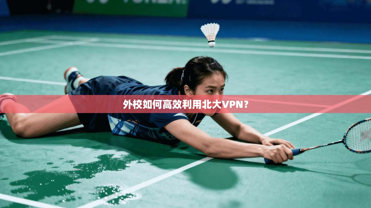 外校如何高效利用北大VPN？
