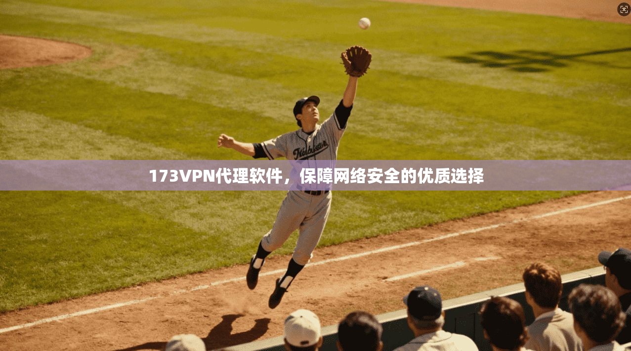 173VPN代理软件,保障网络安全的优质选择