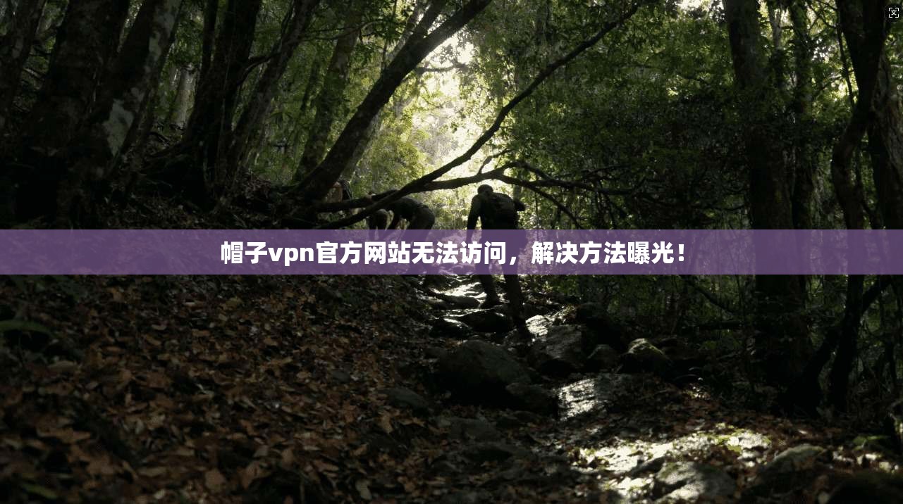 帽子vpn官方网站无法访问，解决方法曝光！