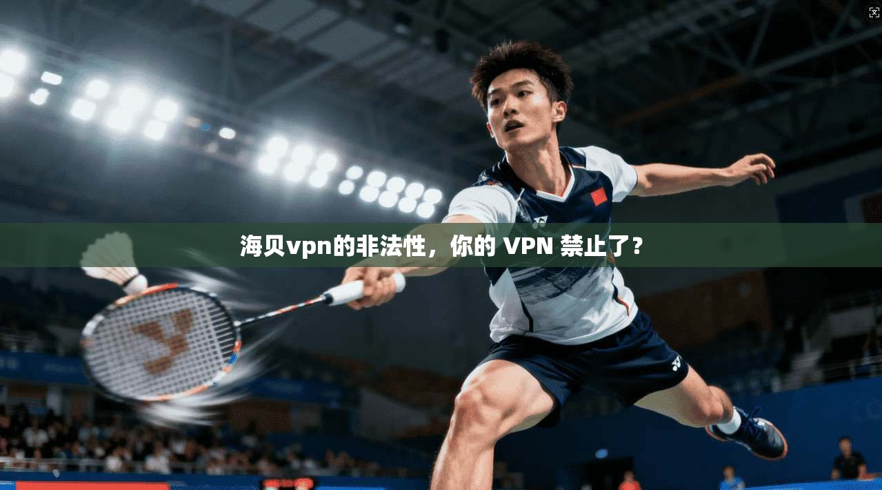 海贝vpn的非法性，你的 VPN 禁止了？