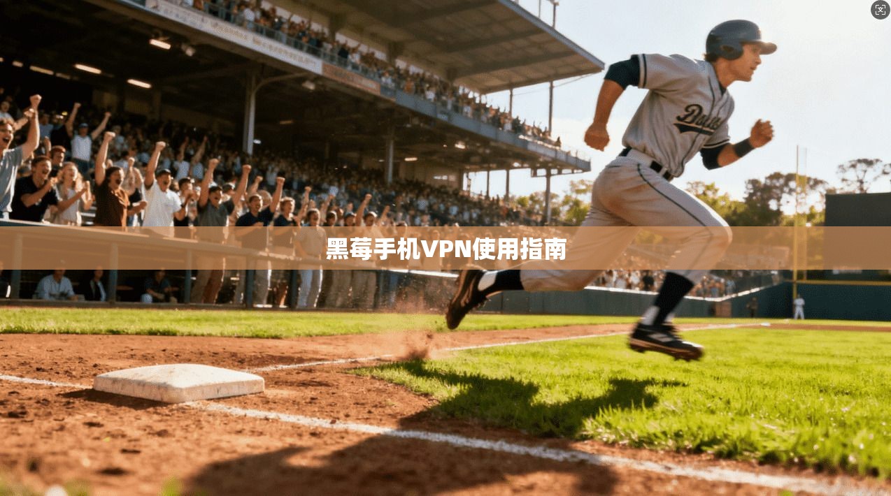 黑莓手机VPN使用指南