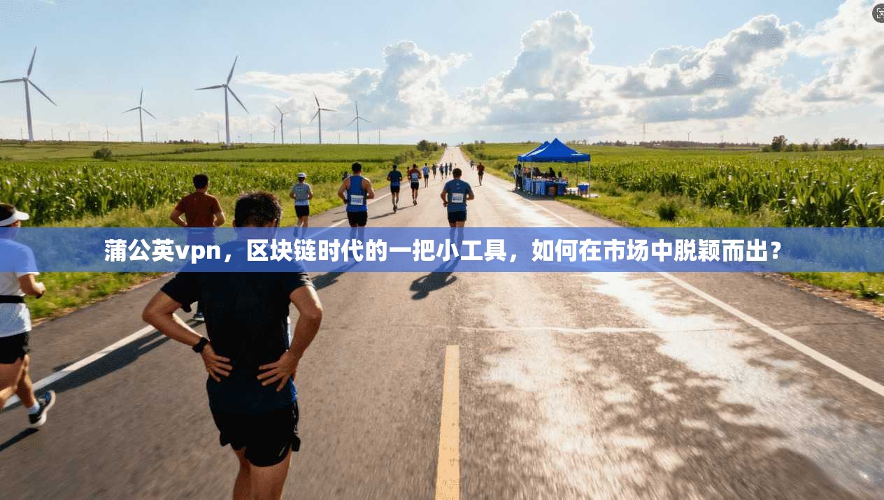 蒲公英vpn，区块链时代的一把小工具，如何在市场中脱颖而出？