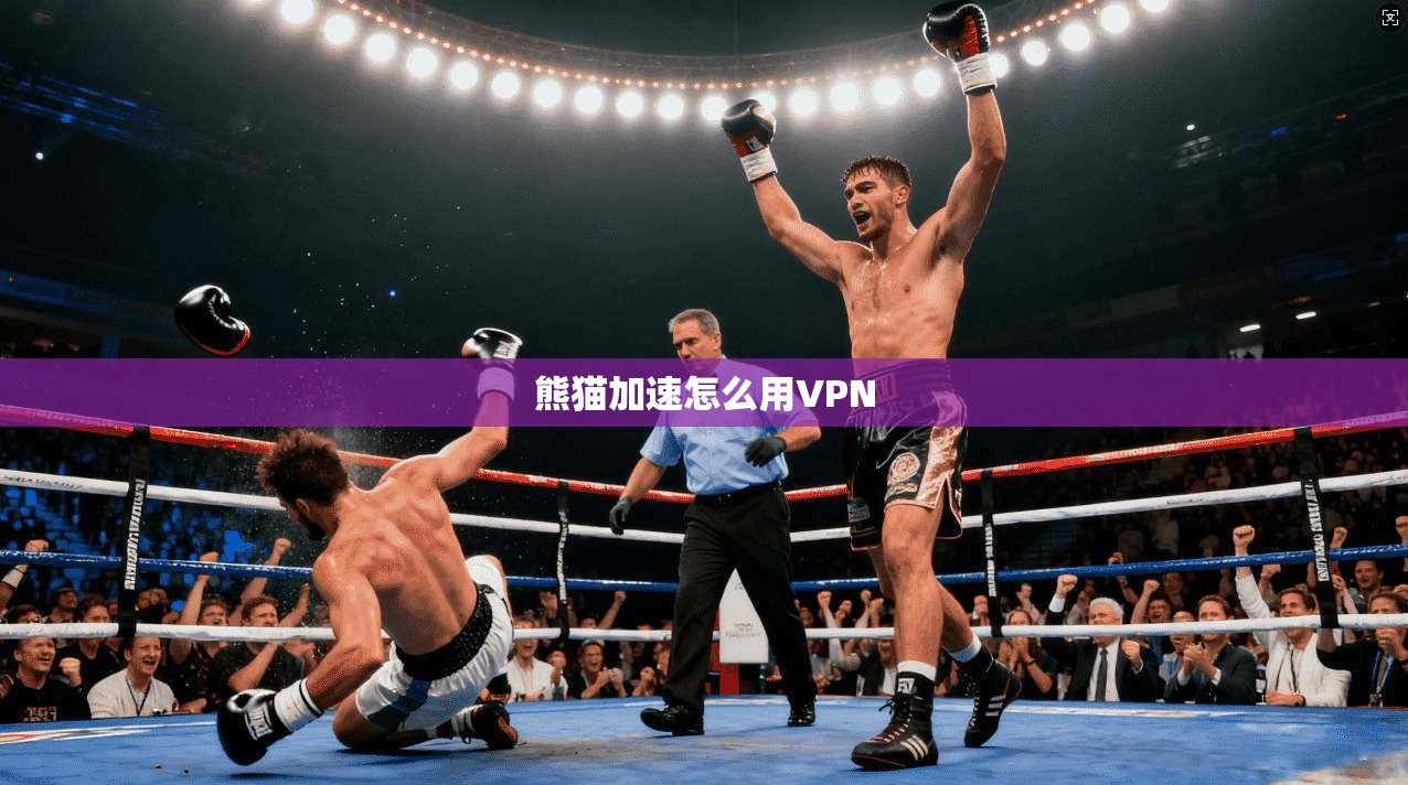 熊猫加速怎么用VPN