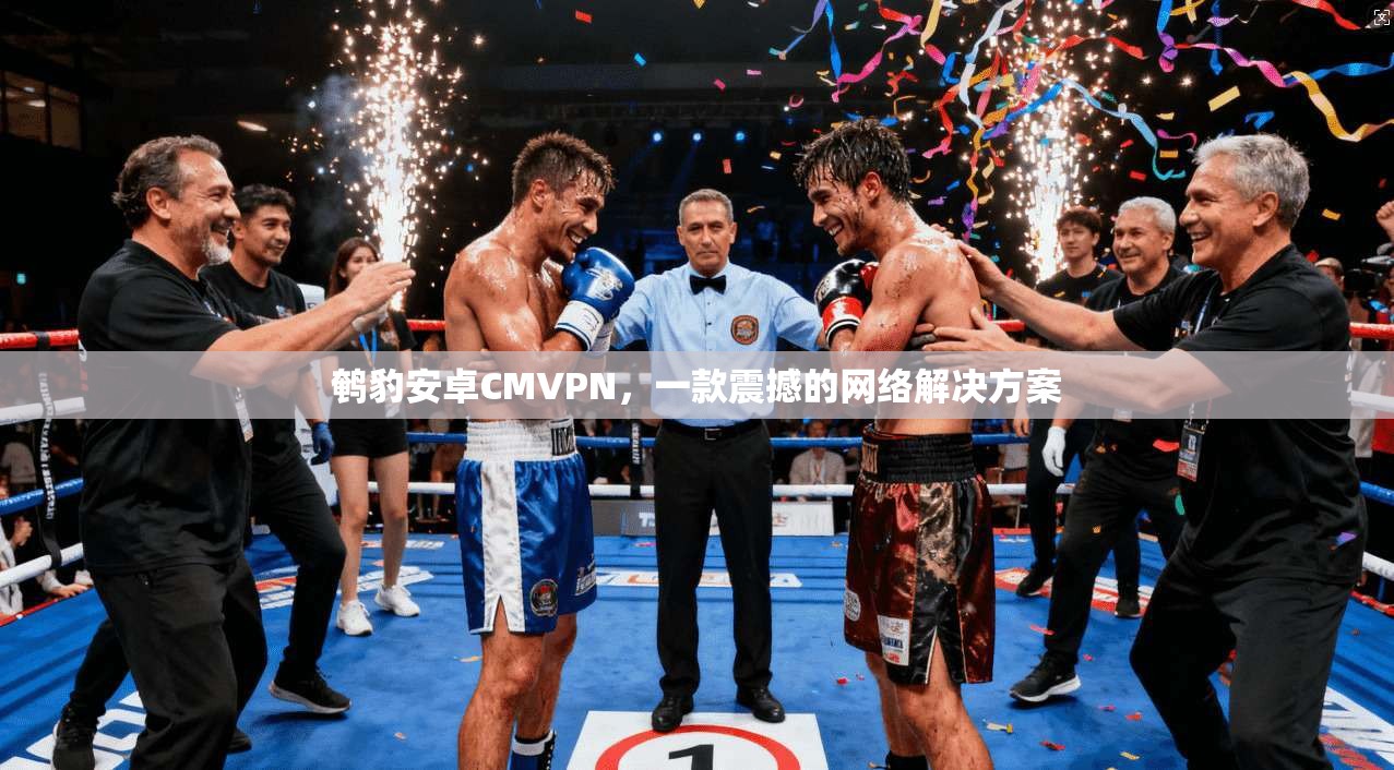 鹌豹安卓CMVPN，一款震撼的网络解决方案