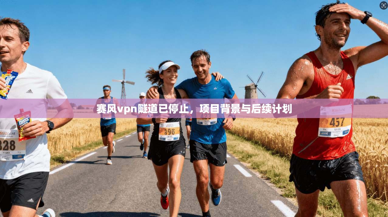 赛风vpn隧道已停止,项目背景与后续计划