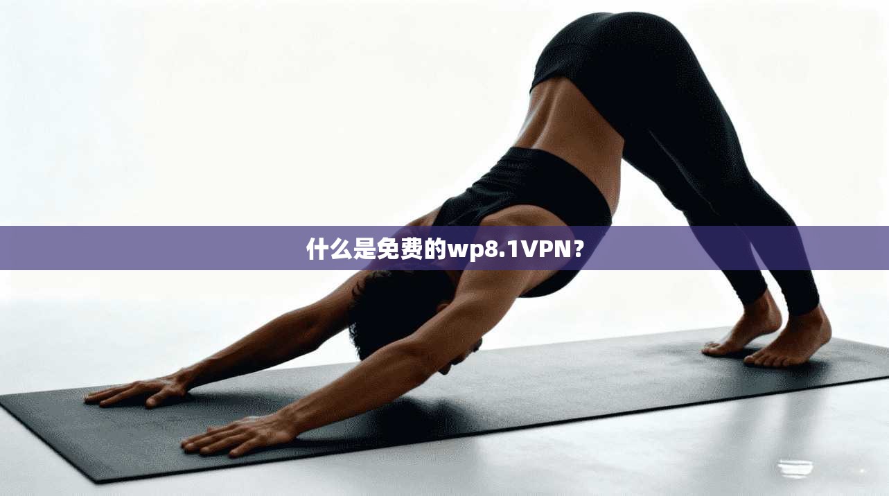 什么是免费的wp8.1VPN？