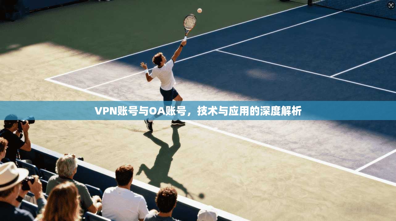 VPN账号与OA账号，技术与应用的深度解析