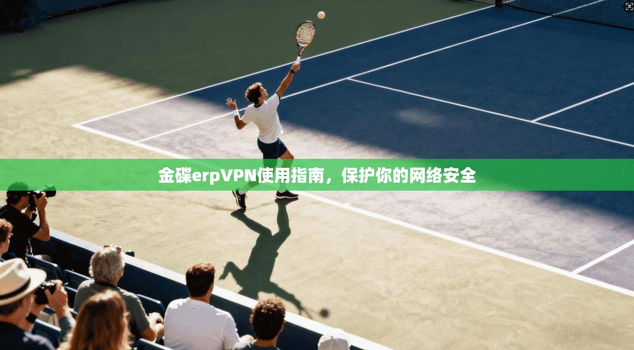金碟erpVPN使用指南，保护你的网络安全