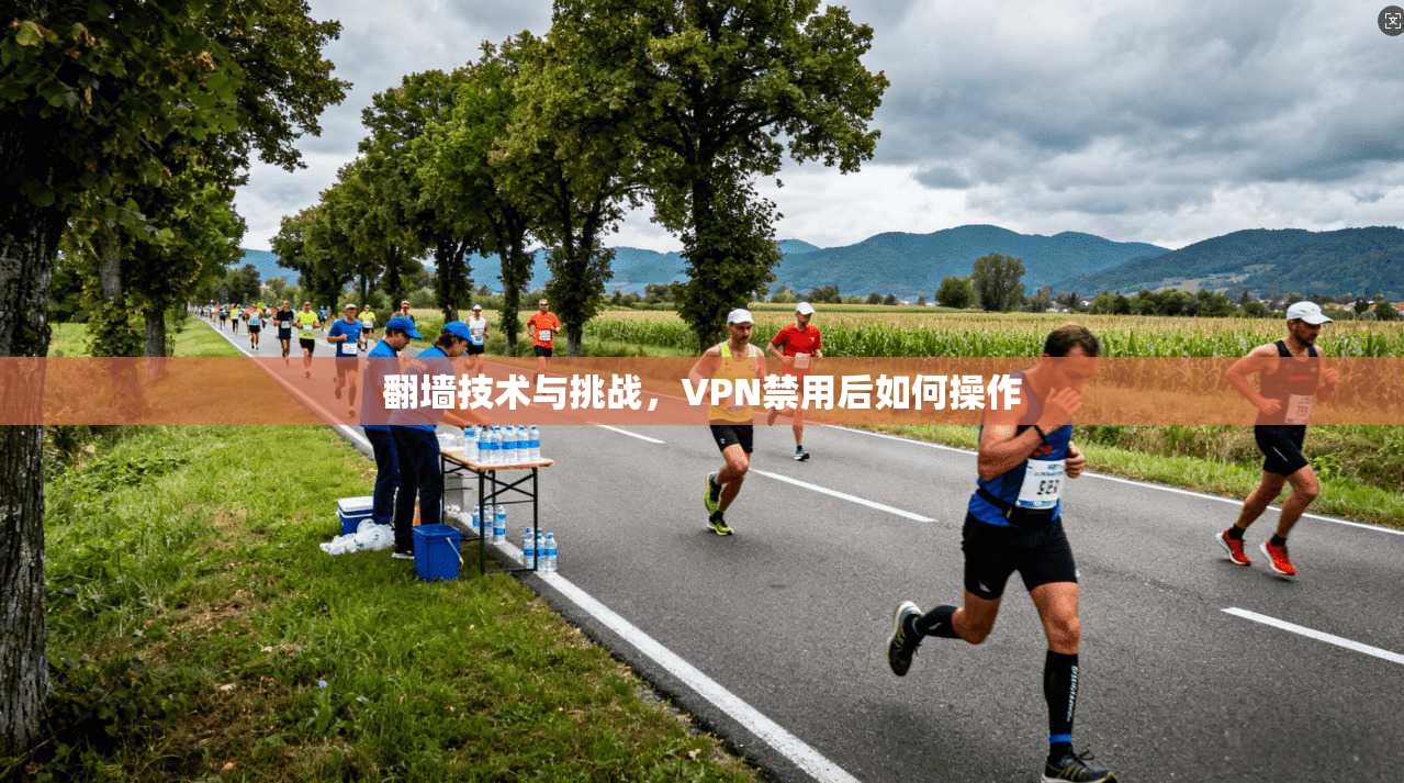 翻墙技术与挑战，VPN禁用后如何操作
