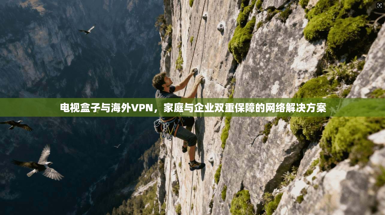 电视盒子与海外VPN,家庭与企业双重保障的网络解决方案